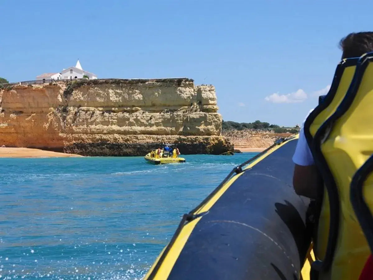 Caves and Dolphins - Shared by HenStagPortugal