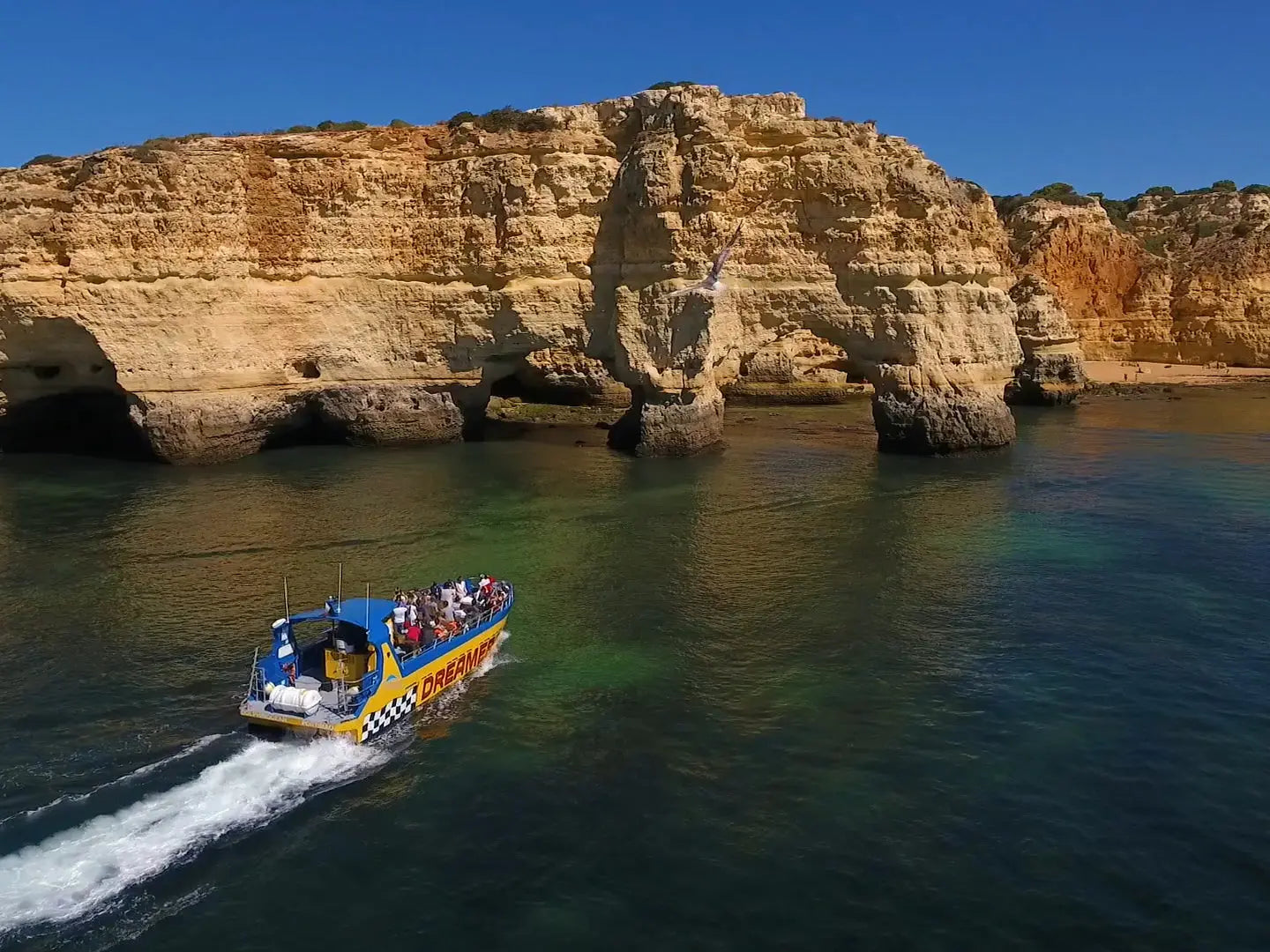 Caves and Dolphins - Shared by HenStagPortugal