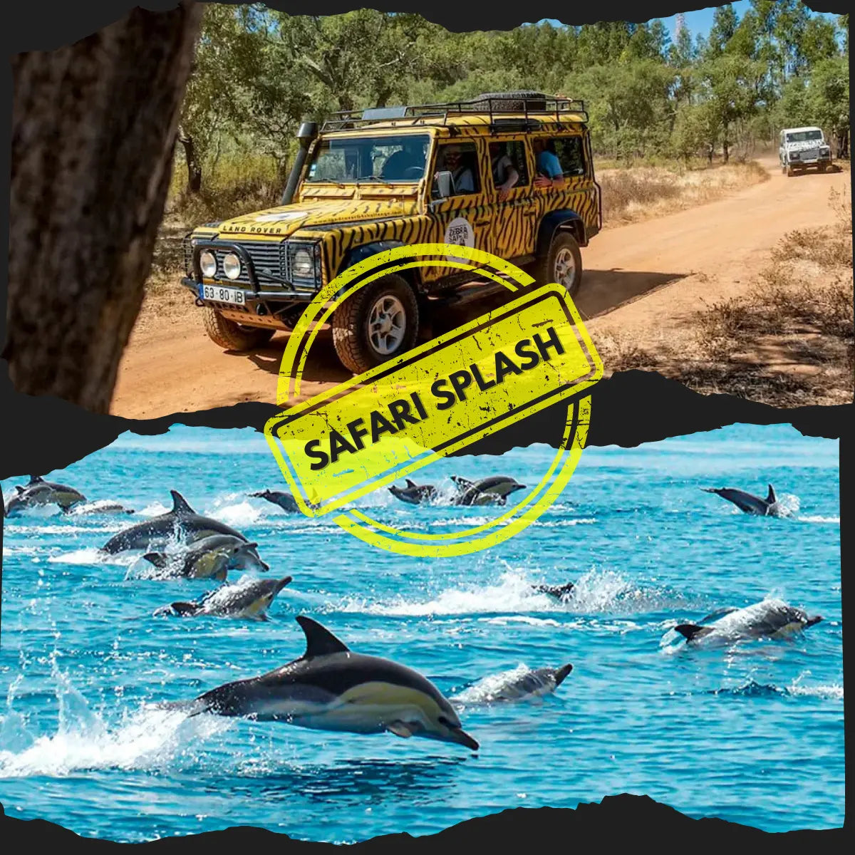 Safari & Boat Tour HenStagPortugal