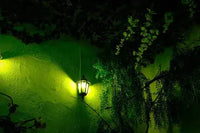 ExpedItion - HenStagPortugal Escape Room