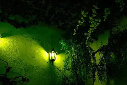 ExpedItion - HenStagPortugal Escape Room