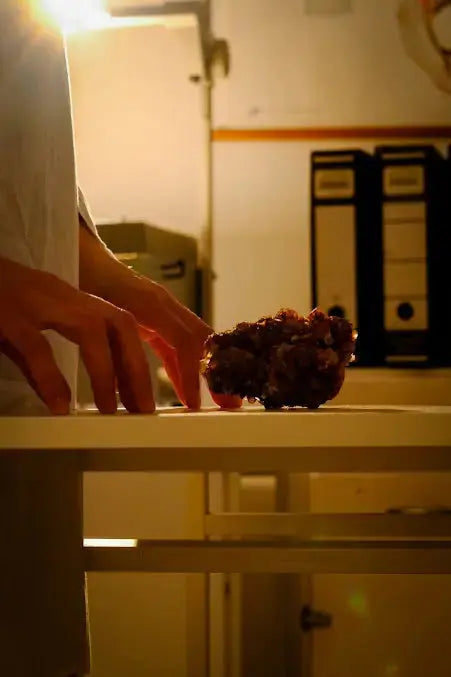 ExpedItion - HenStagPortugal Escape Room