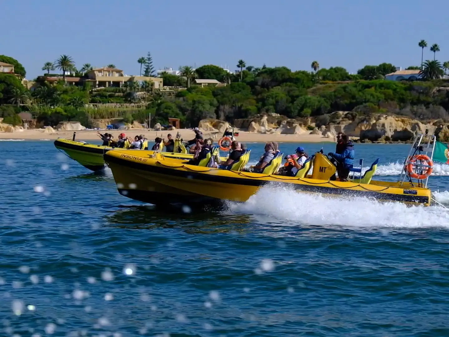 Caves and Dolphins - Shared by HenStagPortugal