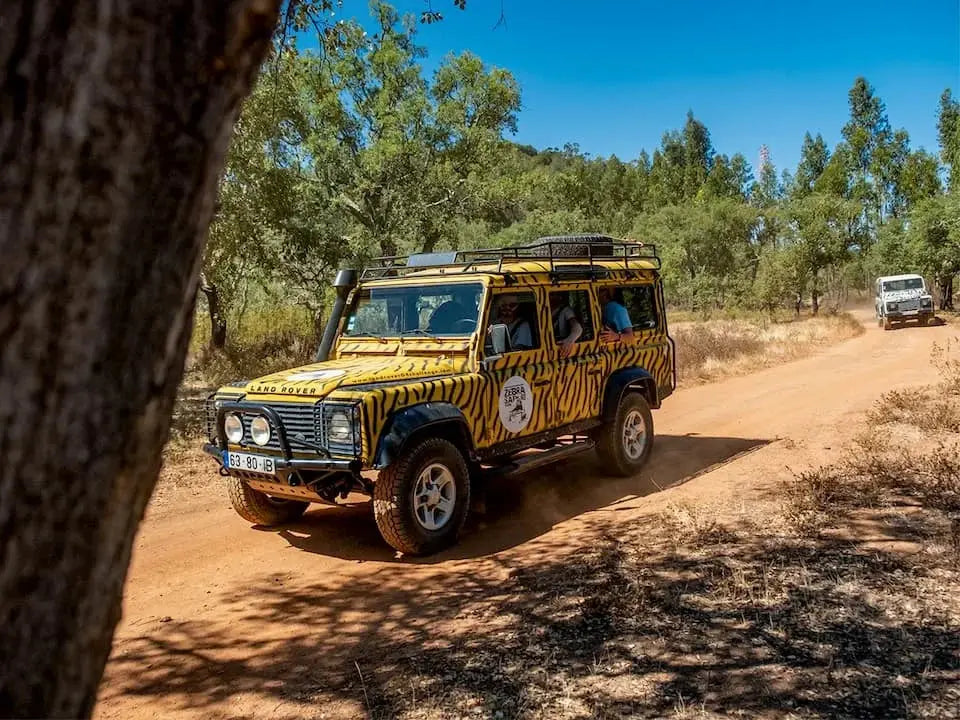 Jeep Safari Tour - Shared HenStagPortugal