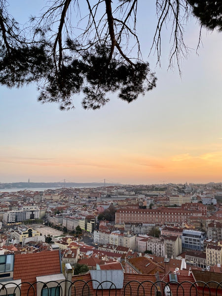 Light, viewpoints, and movement