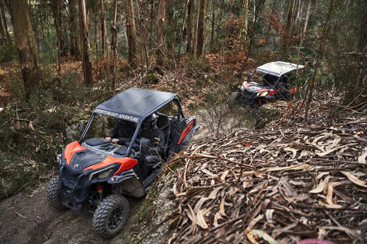 Dirt and Dust Buggy HenStagPortugal