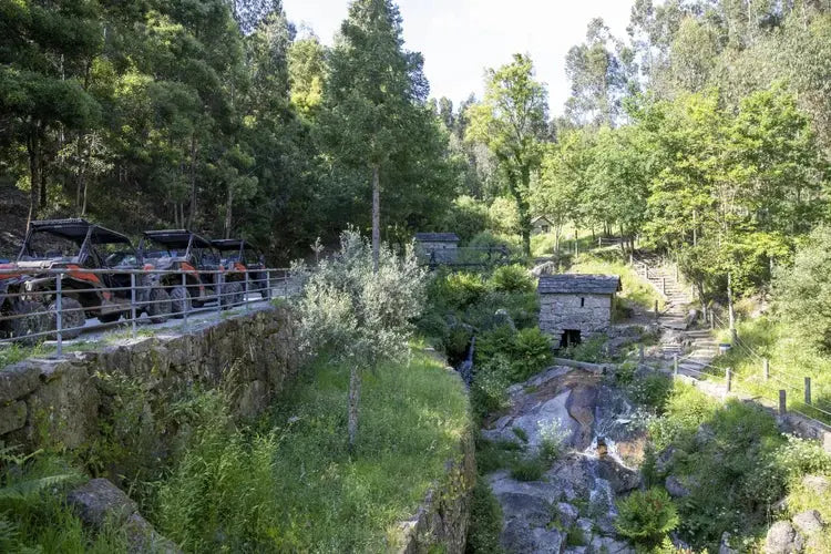 Dirt and Dust Buggy HenStagPortugal