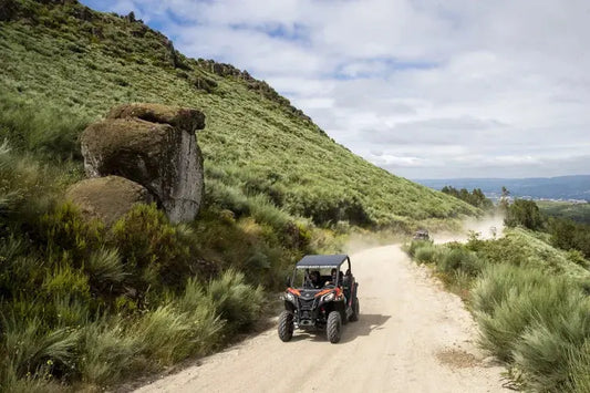 HenStagPortugal Cross-Country Buggy