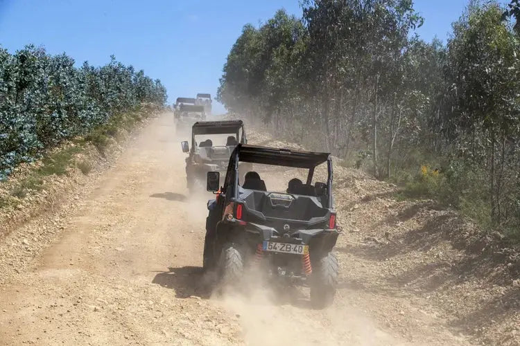 Buggy Adventure Tour HenStagPortugal