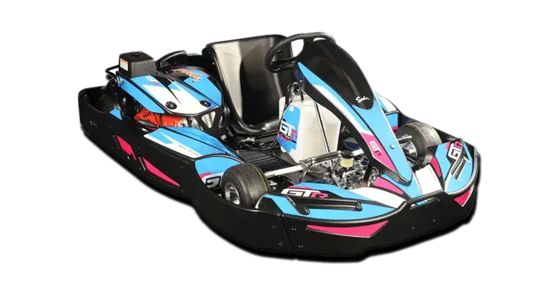 Go-Kart - 270cc HenStagPortugal