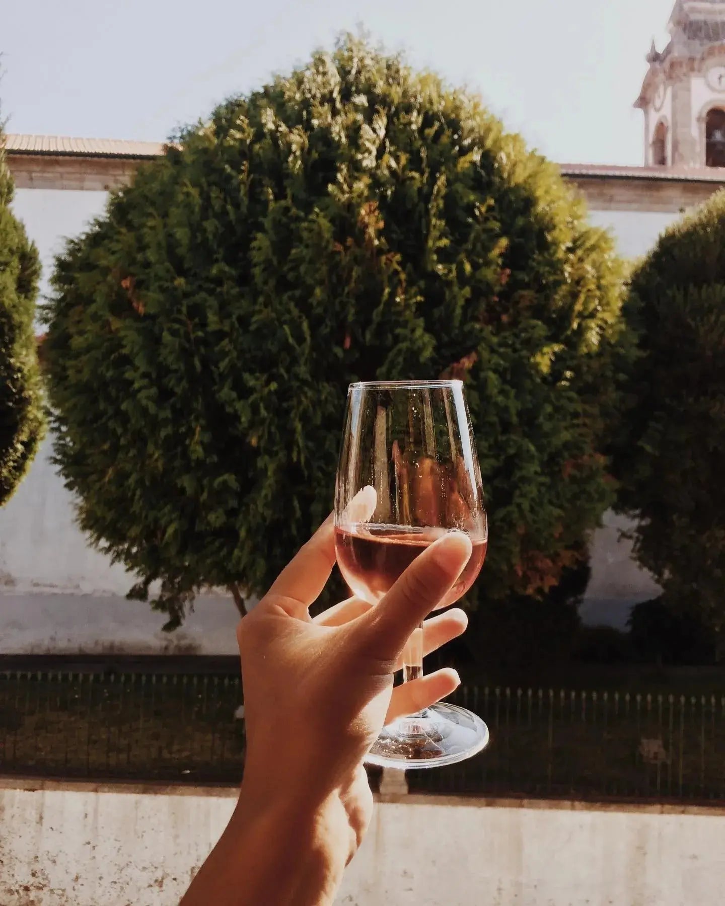 Private Tour HenStagPortugal