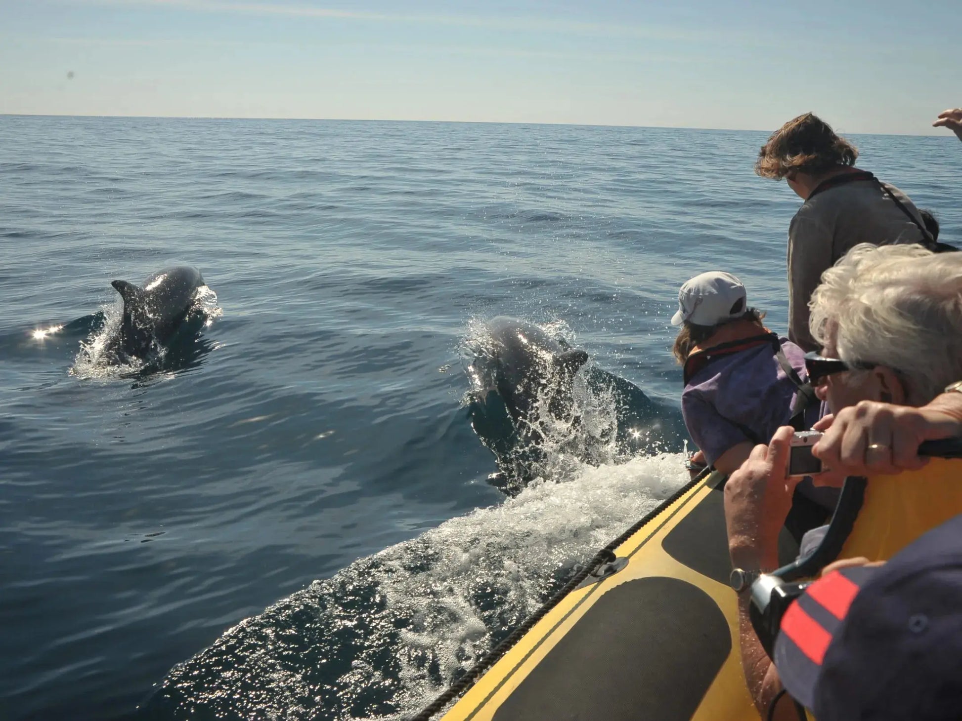 Caves and Dolphins - Shared by HenStagPortugal