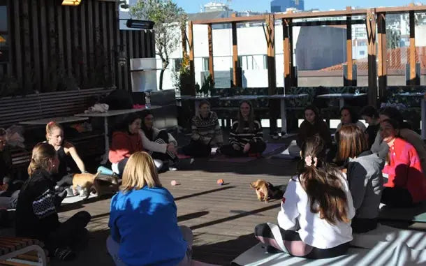 Puppy Yoga HenStagPortugal