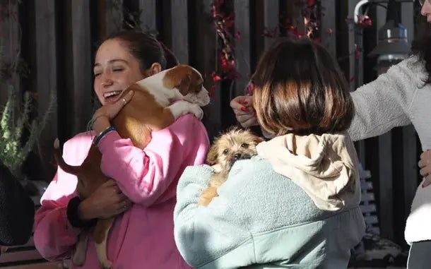 Puppy Yoga HenStagPortugal