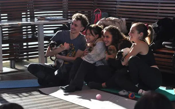 Puppy Yoga HenStagPortugal