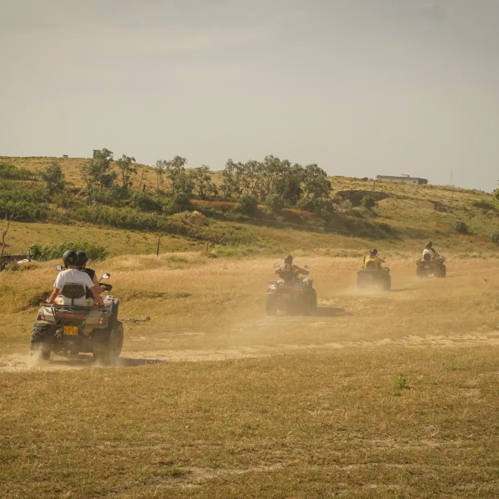 Quad Explorer HenStagPortugal