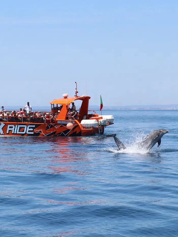 Safari & Boat Tour HenStagPortugal