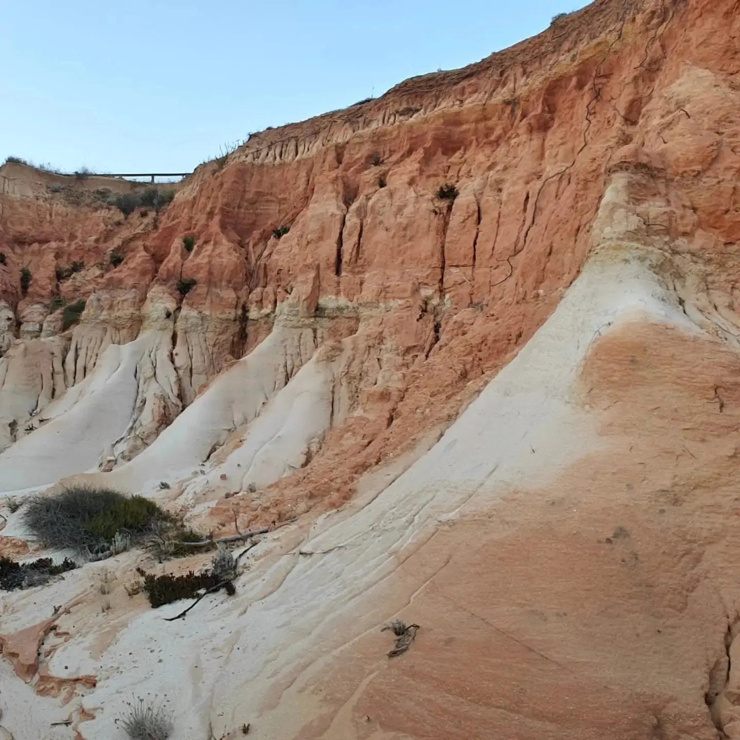 Tuk Tuk - Olhos D'agua & Falesia Beach HenStagPortugal