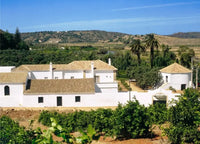 Wine and Chicken Tour HenStagPortugal