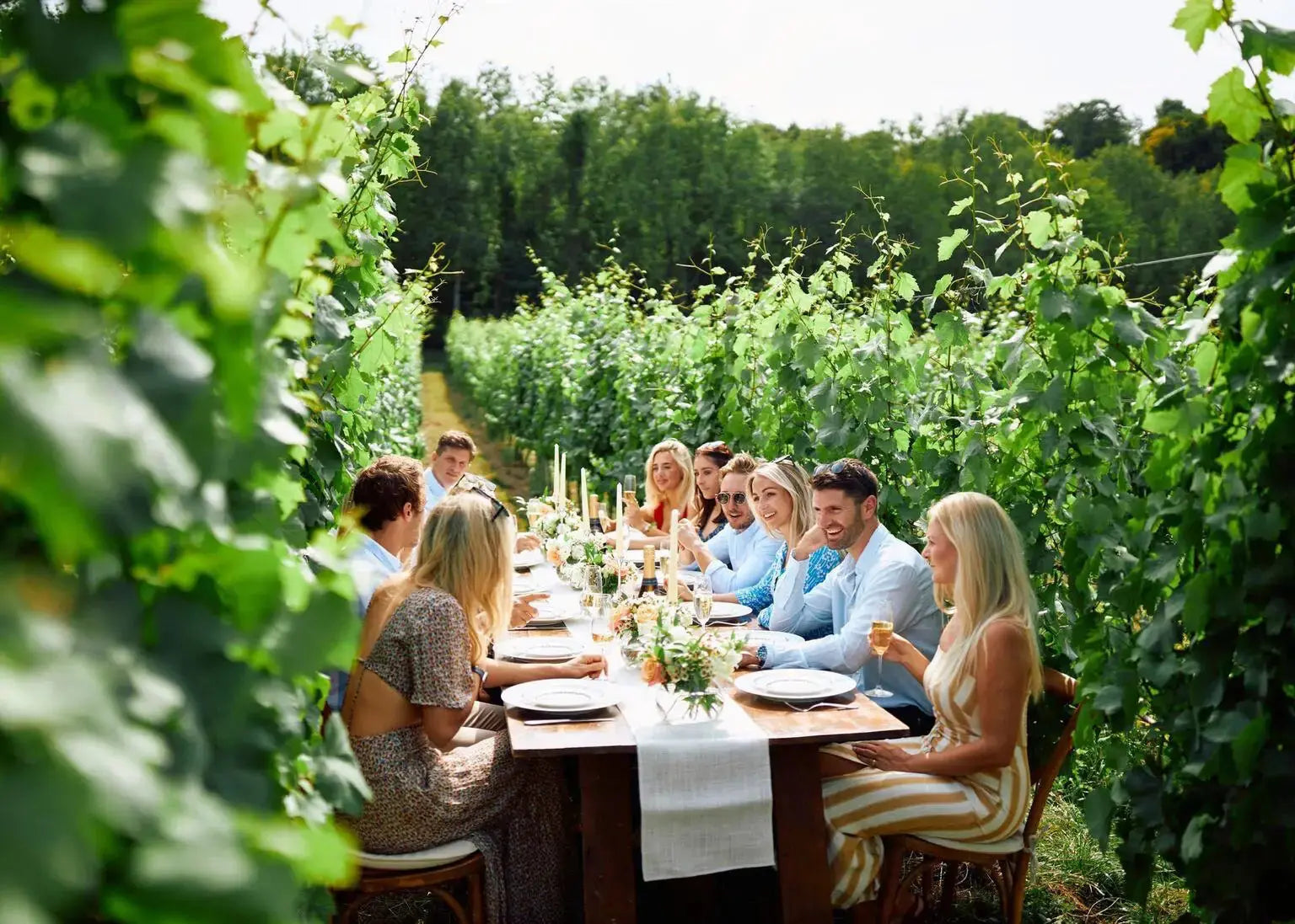Wine and Chicken Tour HenStagPortugal