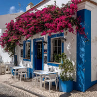 Wine and Chicken Tour HenStagPortugal