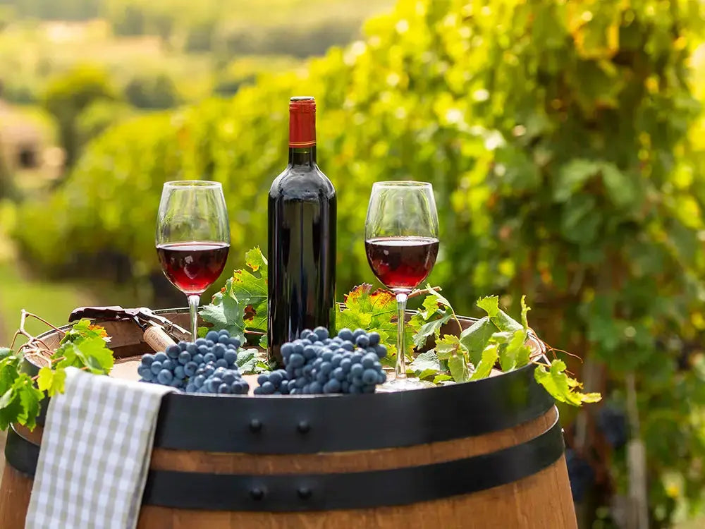 Wine, Winery and Tapas Tour HenStagPortugal